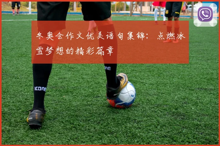 冬奥会作文优美语句集锦：点燃冰雪梦想的精彩篇章