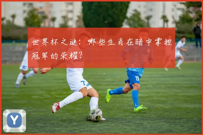 世界杯之谜:哪些生肖在暗中掌控冠军的荣耀?