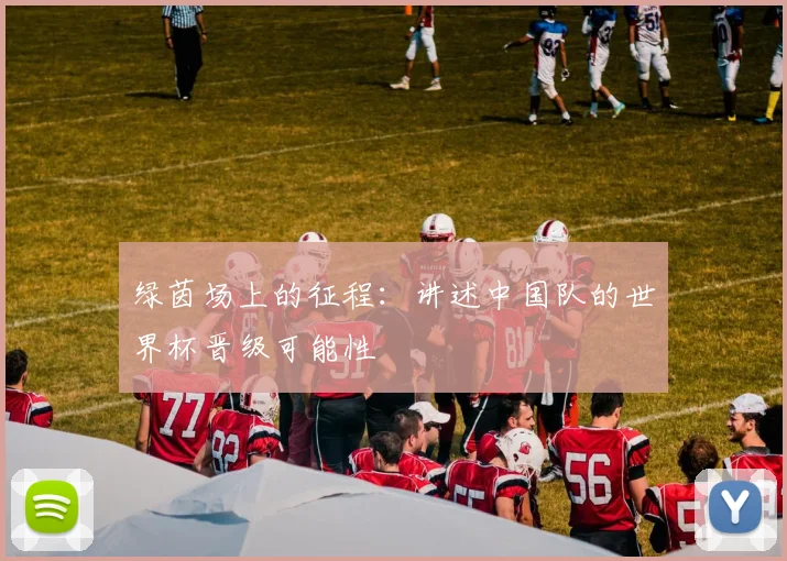 绿茵场上的征程:讲述中国队的世界杯晋级可能性