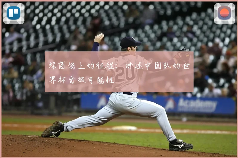 绿茵场上的征程：讲述中国队的世界杯晋级可能性