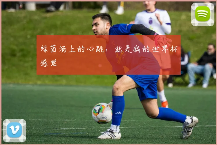 绿茵场上的心跳,就是我的世界杯感觉